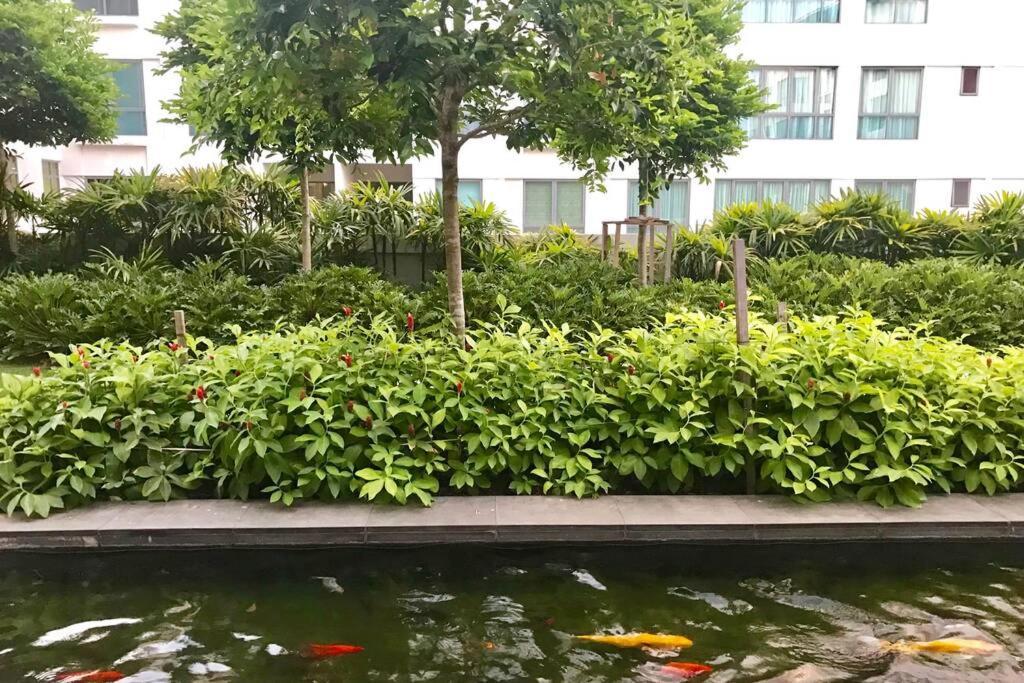 Condo In Imago Mall 亚庇最大商场imago楼里公寓 코타키나발루에서가장큰쇼핑센터아파트 Exterior photo